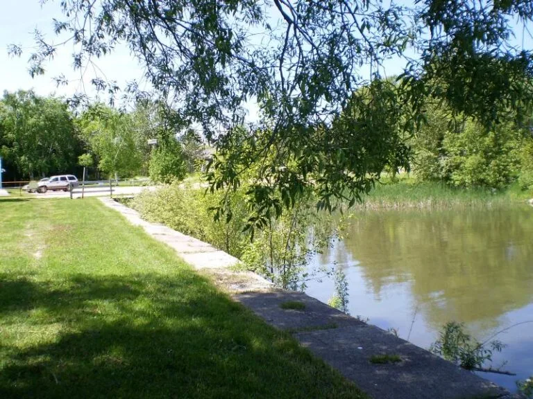 Grounds_2-large