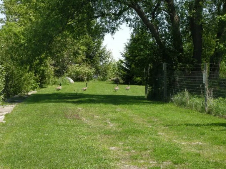 Grounds_5b-large